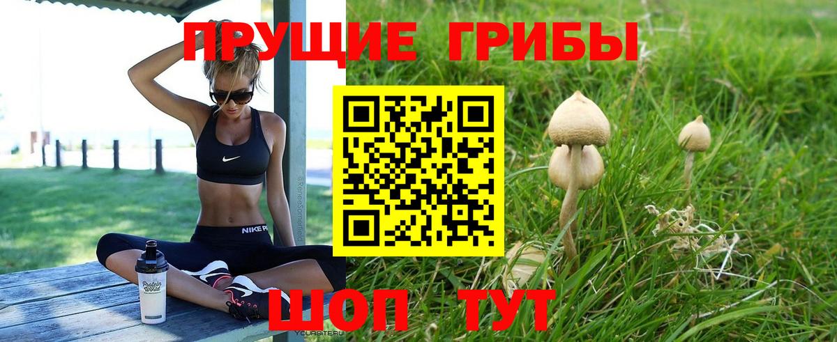 Псилоцибиновые грибы Psilocybine cubensis  сколько стоит  Псилоцибиновые грибы ЛСД  Алапаевск  Вход с VPN 